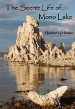 The Secret Life of Mono Lake